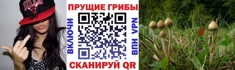 Псилоцибиновые грибы ЛСД  Верхотурье 