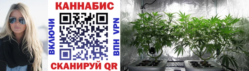 МАРИХУАНА семена Верхотурье